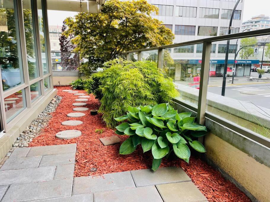 Spacious Downtown 2 Bedroom Condo With Pool And Air Conditioning Victoria Exterior foto